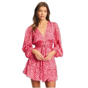 NWT TUSSAH Sz L ‘Auora’ Mini Day Dress In Pink Roses